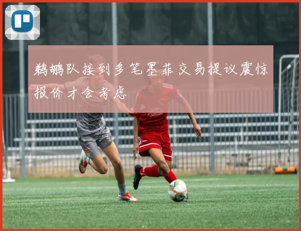 鹈鹕队接到多笔墨菲交易提议震惊报价才会考虑